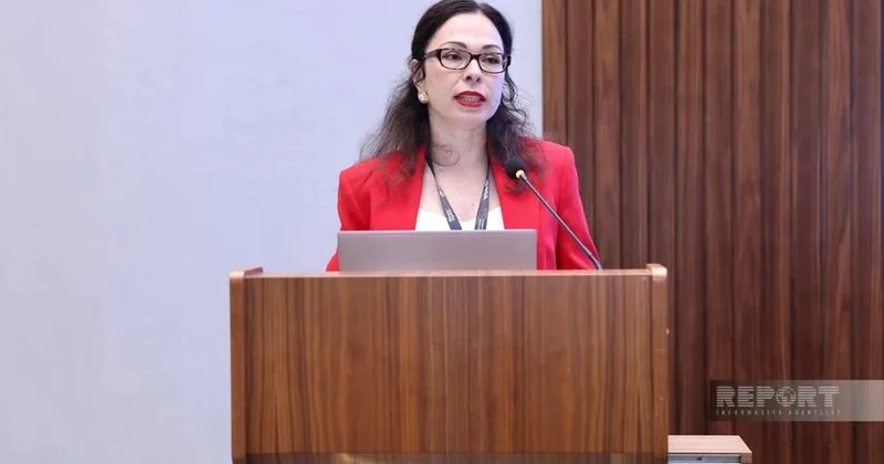 Ukrayna rəsmisi : Kibertəhlükəsizlik potensialımızı ixrac etmək istəyirik