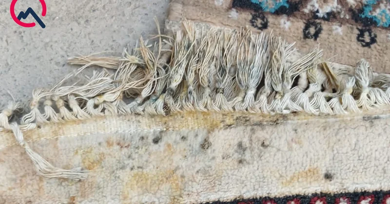 “İki aydır yumağa xalça vermişdik, çirkli formada geri qaytardılar” Video
