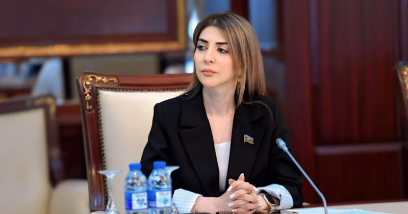 TDT beynəlxalq səviyyədə mühüm geosiyasi aktora çevrilməkdədir ŞƏRH