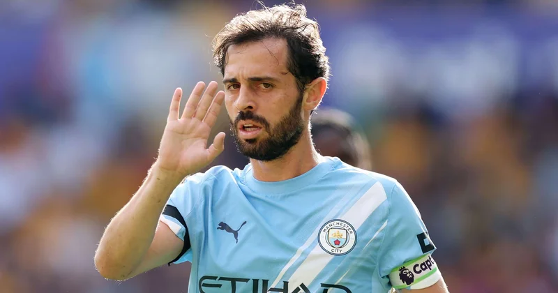 Milan Bernardo Silvanın xidmətində maraqlıdır