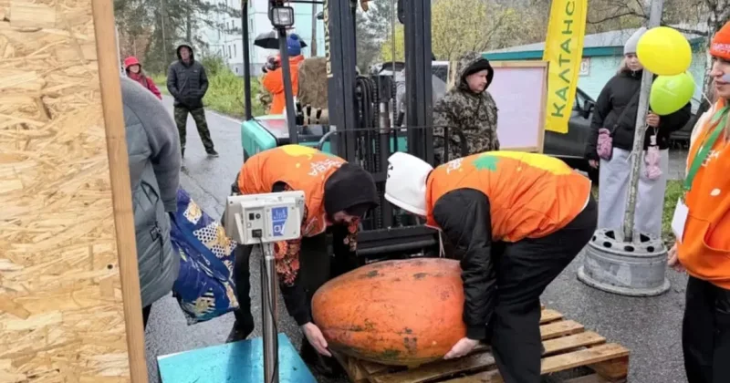 Тыквенный суп объемом 200 литров стал новым гастрономическим рекордом России