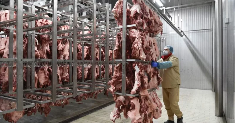 Россияне стали есть рекордно много мяса