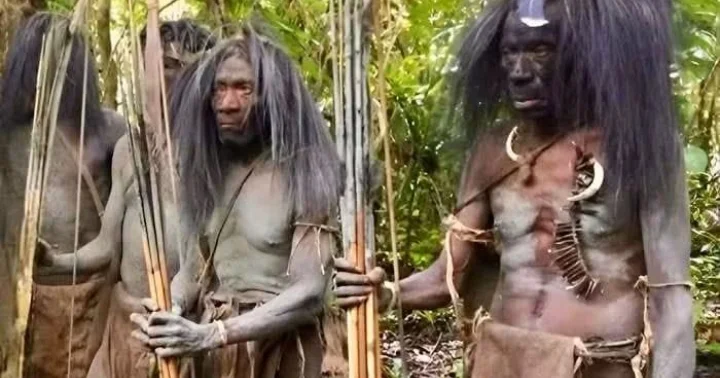 Papua cəngəlliklərinin sirli sakinləri: Timsah ovlayan Bauzi xalqı KONKRET