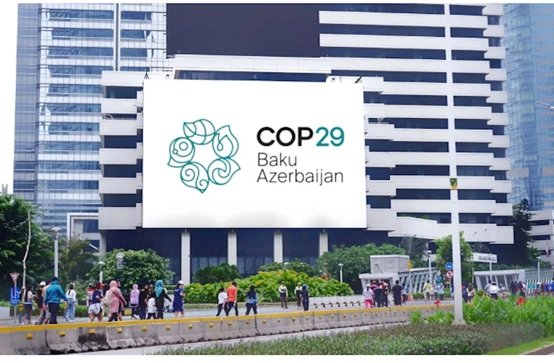 Şamil Ayrım: COP 29 Azərbaycanın yaşıl iqtisadiyyata keçiddə nümunəvi ölkə olmasına töhfə verəcək