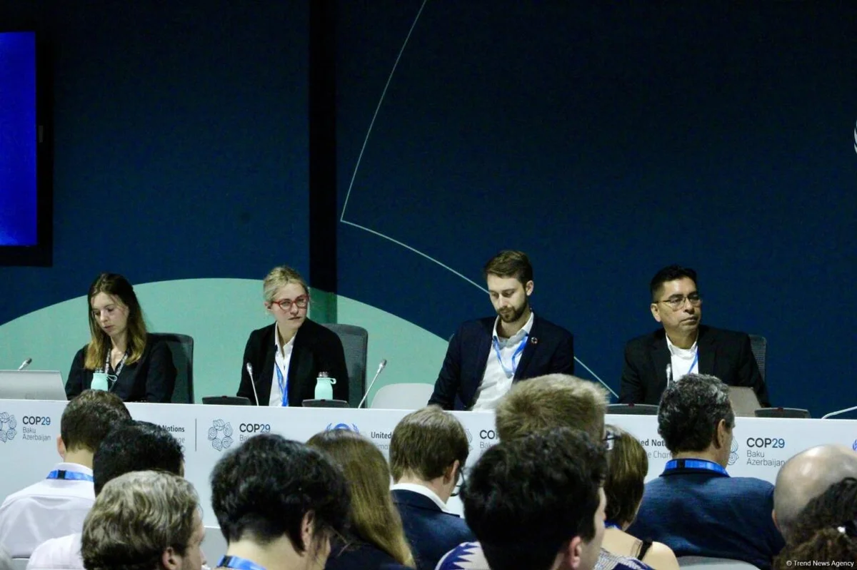 COP29 çərçivəsində “UNFCCC: Paris Sazişinin Kredit Mexanizmi ilə Karbon Bazarlarında Dürüstlüyün İnkişafı” adlı panel müzakirəsi keçirilir FOTO