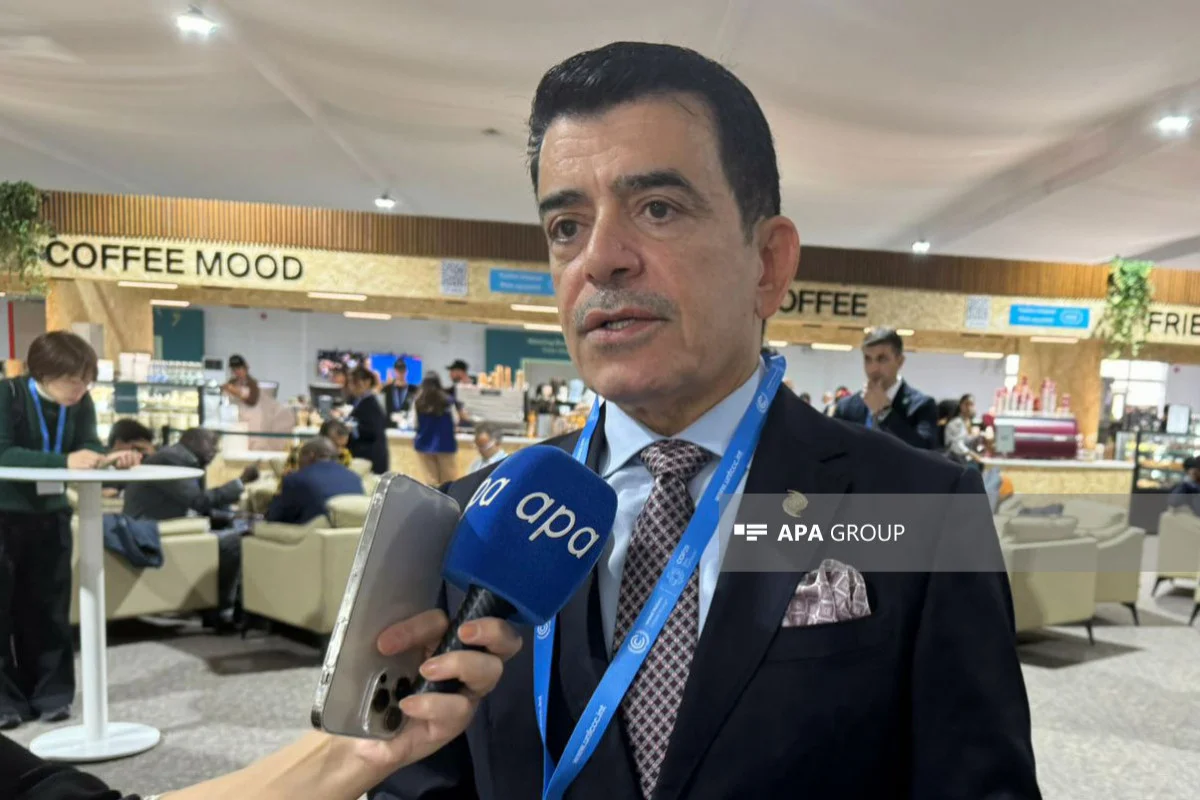 İSESKOnun baş direktoru: COP29dan çox gözləntilərimiz var VİDEO