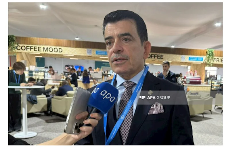 ISESCOnun Baş direktoru: COP29dan çox gözləntilərimiz var