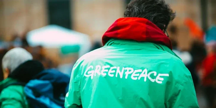 Представитель Greenpeace: Мы ожидаем от СОР29 достижения новой цели климатического финансирования Новости Азербайджана