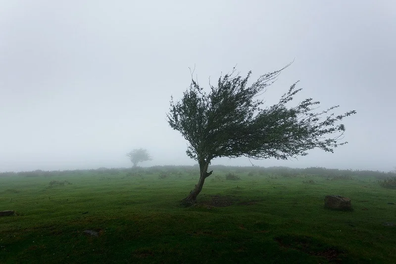 Küləkli hava şəraiti ilə bağlı sarı XƏBƏRDARLIQ