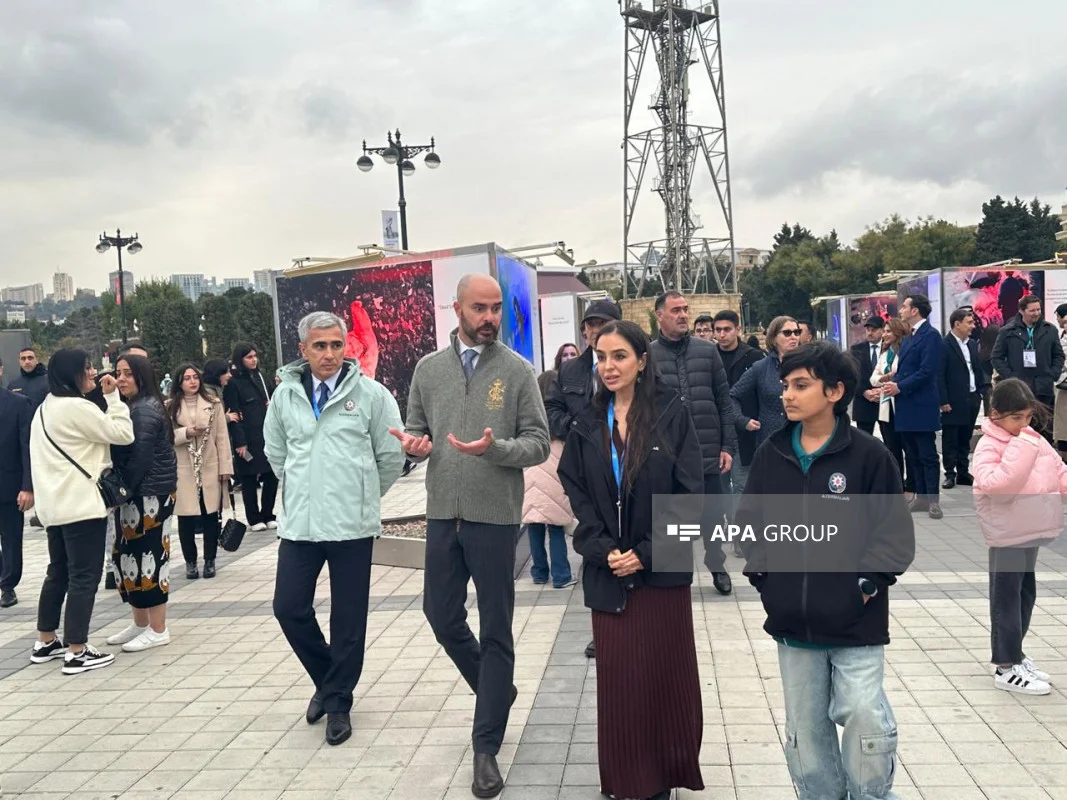 Sualtı dünyaya və dünya sularında yaşayan canlıların əhəmiyyətinə həsr olunan sərgi açılıb FOTO