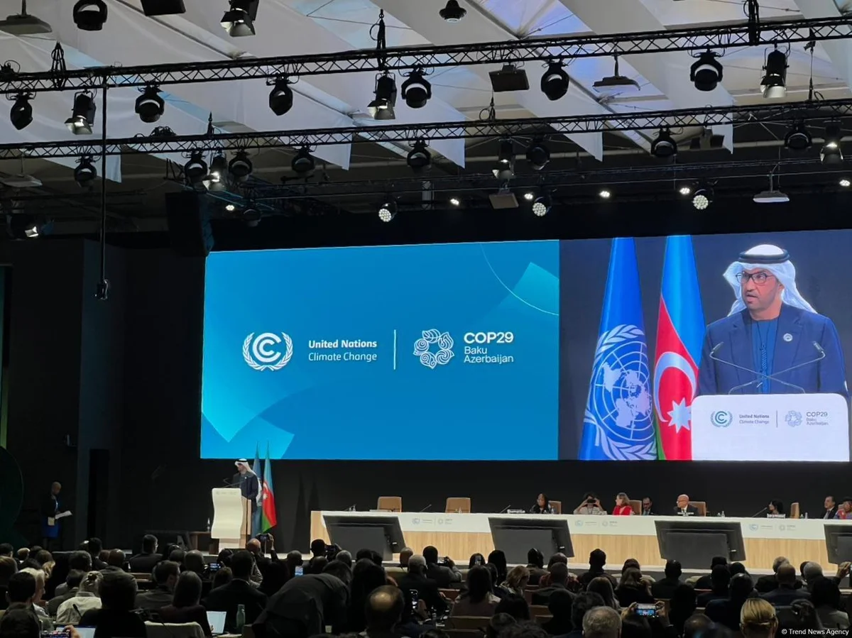 COP29 Azərbaycanda növbəti uğurunu qazanacaq COP28 prezidenti