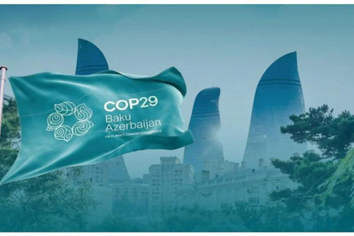 COP29 tutarlı maliyyə mexanizmlərinin tapılmasına istiqamətlənmək üçün ən optimal platformadır