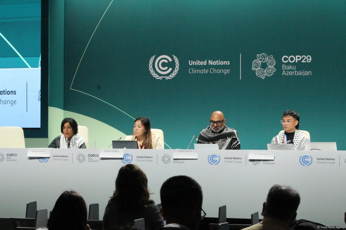 COP29da “İqlim ədalətini tələb etmək üçün qlobal kampaniya” mövzusunda panel müzakirəsi keçirilib