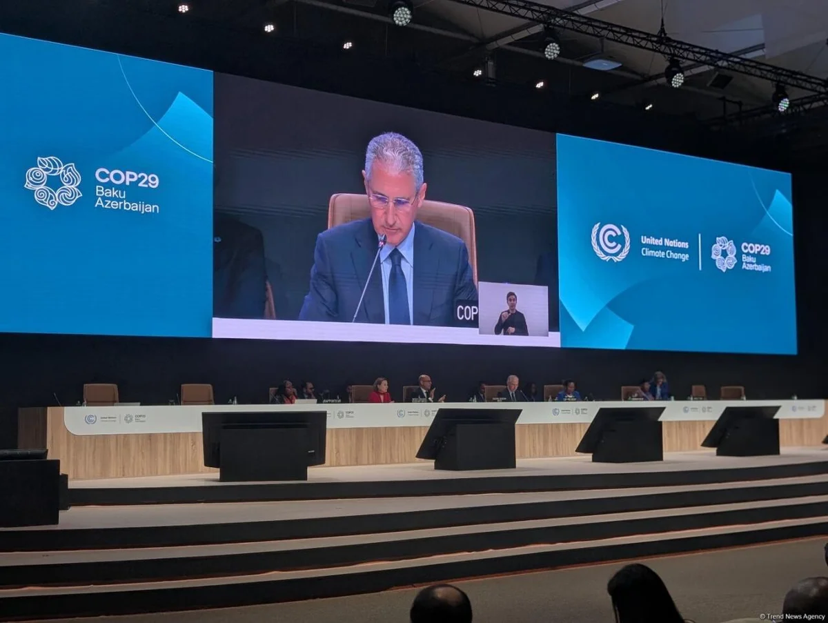 COP29 gündəliyi təsdiq edildi