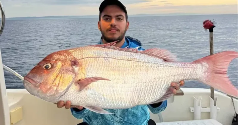 Balıqçılar 12 kiloqramlıq nəhəng mercan tutublar