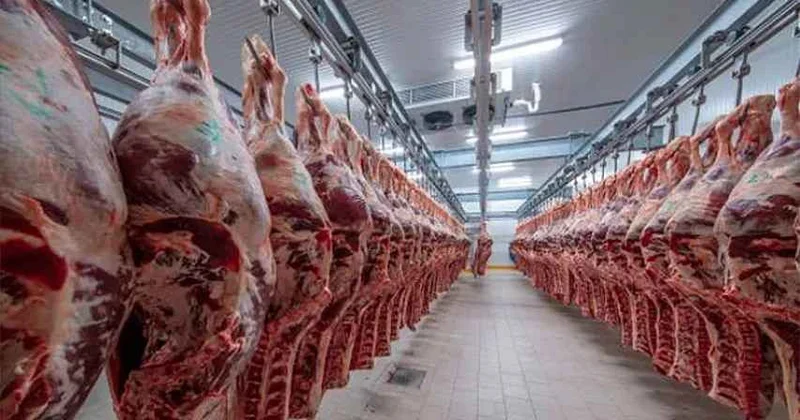 Ətlə bağlı əhaliyə MÜHÜM XƏBƏR: Bazarda satılan ətlər...