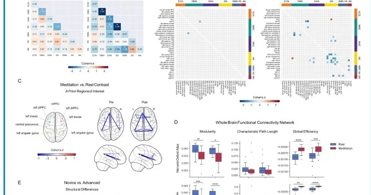 Gələcəyin tibbi Düşün və sağal