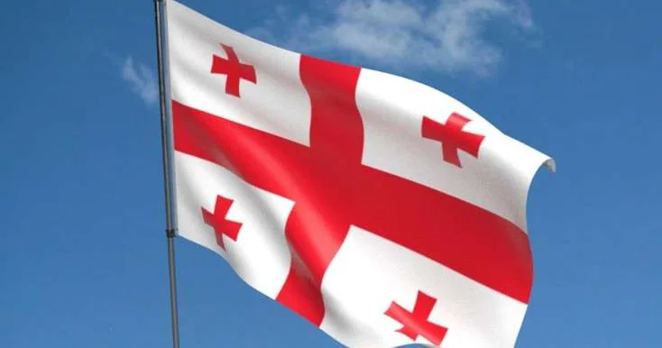 Gürcüstanın DİN qəza ilə bağlı məlumat yaydı