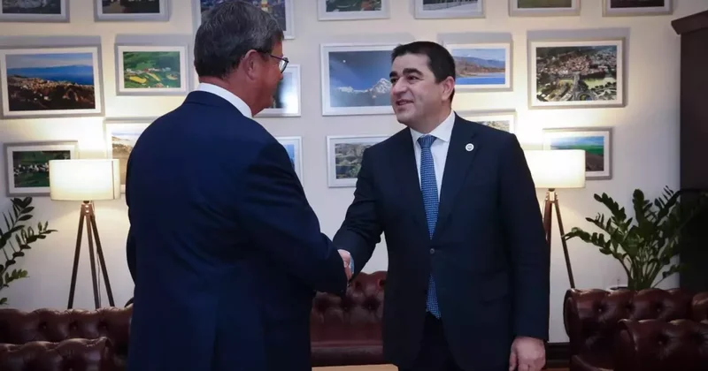 Делегация ПАСЕ проводит встречи в Грузии