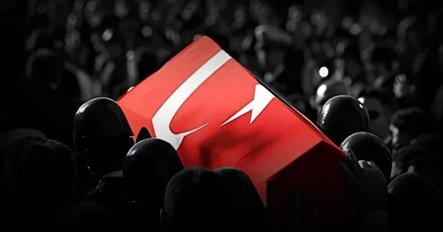 Təyyarə qəzasında həlak olan 20 türk hərbçisi ADLAR+FOTOLAR