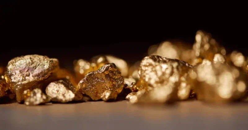 Qazaxıstanın qızıl ehtiyatları təxminən 100 ton artıb