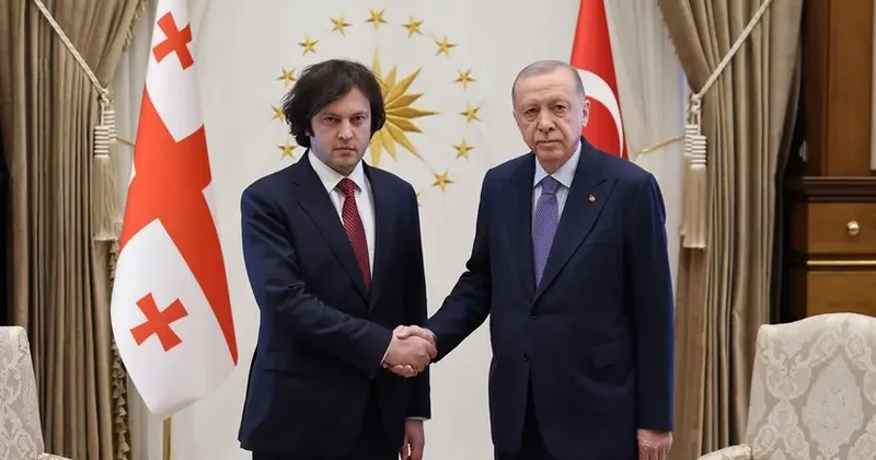 Ərdoğan Kobaxidze ilə təyyarənin ətrafında aparılan axtarış xilasetmə işlərini müzakirə edib