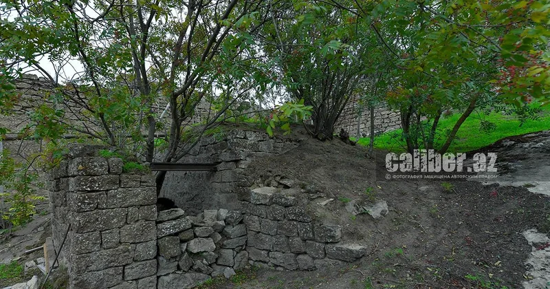 Куда ведет загадочный подземный тоннель мярдяканского дендрария? Репортаж