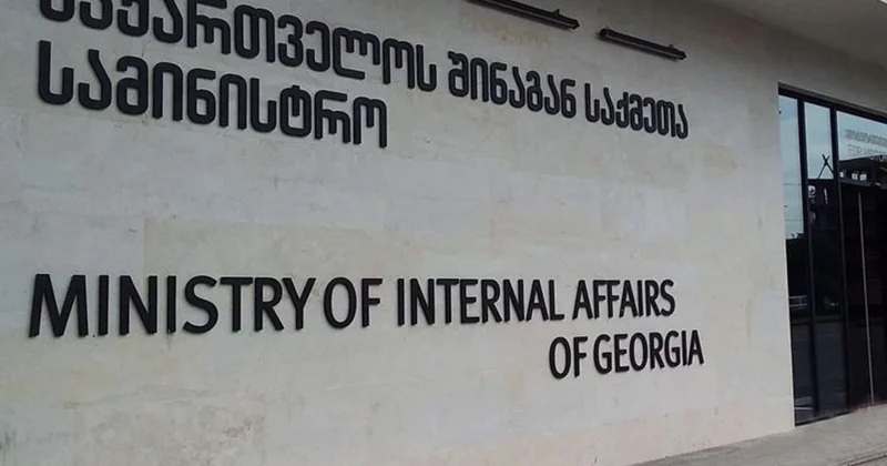 Из Грузии выдворили 31 иностранца, включая граждан Азербайджана
