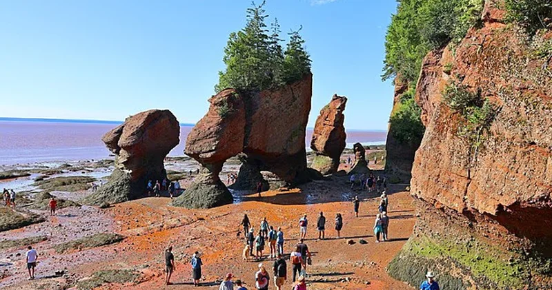 Kanadada okeanın dibindən keçərək çata biləcəyiniz ada: Bu necə mümkündür?