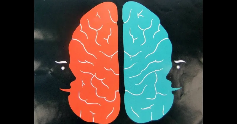 Çox dil bilmək qocalmağın qarşısını alır