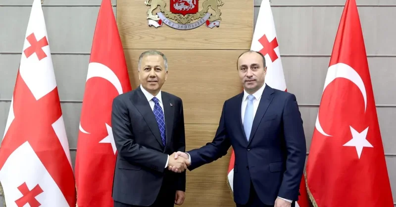 Türkiyə və Gürcüstan nazirləri təyyarə qəzası ilə bağlı telefon danışığı aparıb