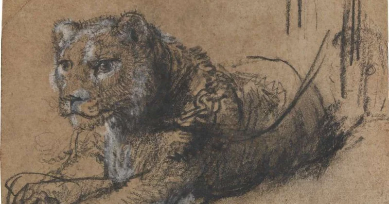 400 yaşlı əsər 20 milyona satılır Ovuc boydadır