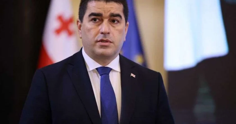 Papuaşvili təyyarə qəzasından danışdı