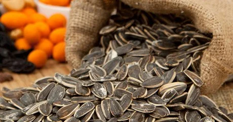 Günəbaxan tumu kökəldir, yoxsa arıqladır ARAŞDIRMA