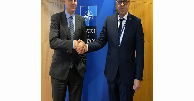 Azərbaycan nümayəndəsi NATO Baş katibinin köməkçisi ilə görüşüb