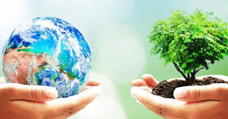 Alimlər bitkilərdə “yaddaş”ın mövcudluğunu aşkar ediblər