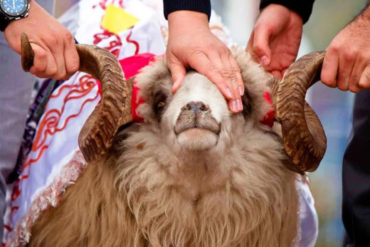 Qurban bayramında 4 gün ardıcıl iş olmayacaq Azərbaycanda özəl xəbərlər, araşdırmalar, təhlillər və müsahibələrin tək ünvanı