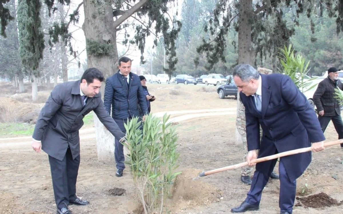 Goranboyda Heydər Əliyevin anım günü ilə bağlı ağacəkmə aksiyası keçirildi FOTOLAR