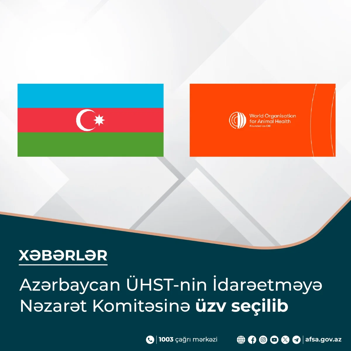 Azərbaycan ÜHSTnin İdarəetməyə Nəzarət Komitəsinə üzv seçilib