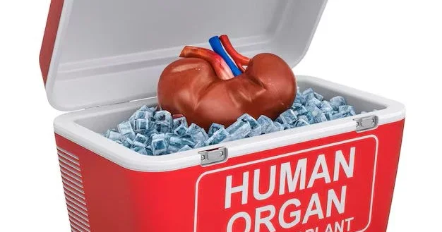 Суд в Баку оправдал мужчину, обвинённого в мошенничестве при подготовке к трансплантации почки