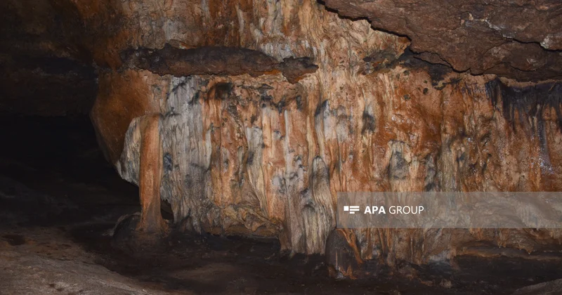 Azıx Mağarasında təhlil üçün 300 dən çox nümunə götürülüb