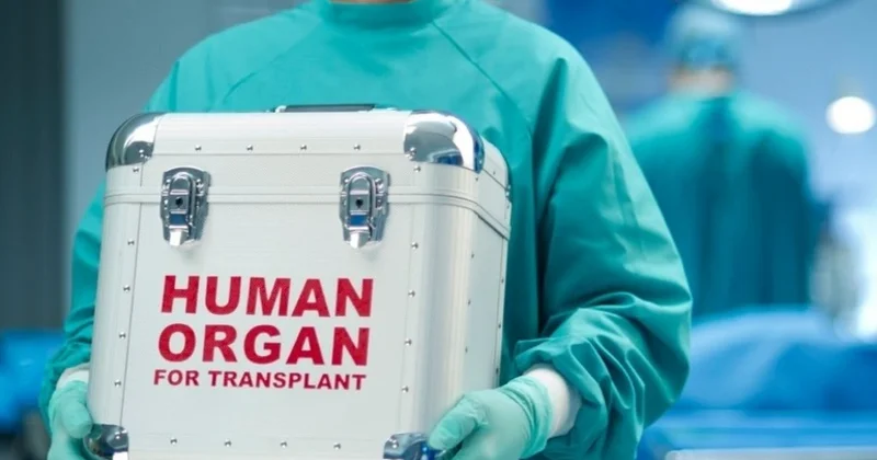 Orqan donorluğunda ölkəmizdə tətbiq olunan opt in sistemi nədir?