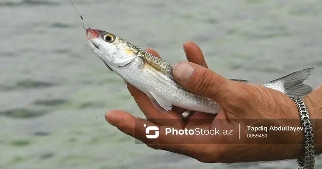 МЧС призывает рыбаков соблюдать правила безопасности в условиях тумана