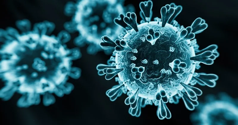 ÜST: COVID 19 dan sağalanların 6% i hələ də uzunmüddətli simptomlarla yaşayır