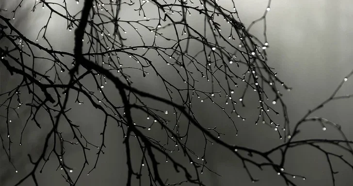 Принято решение по перенесенному из за тумана матчу Габала Туран Товуз