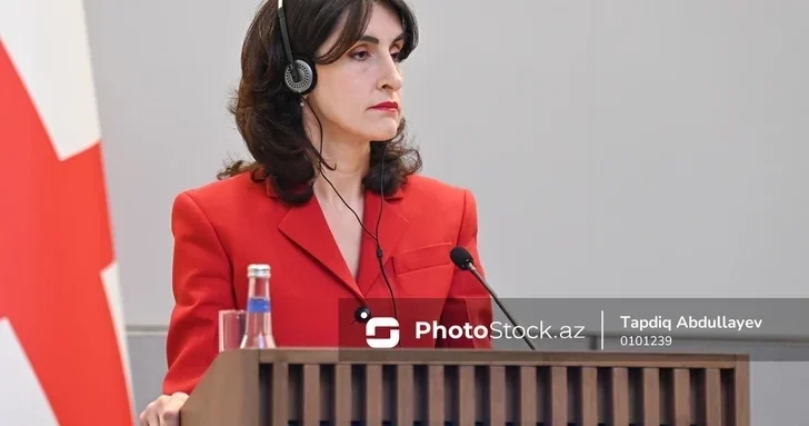 Глава МИД Грузии: Азербайджан является важным партнером для нас