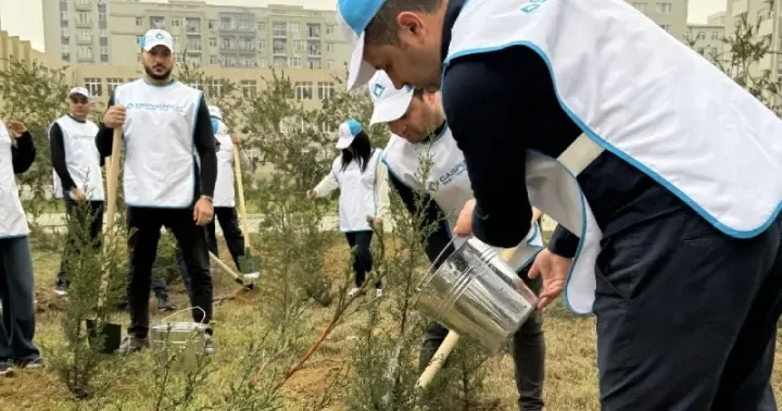 BOKT Caspian İnvest Ulu Öndər Heydər Əliyevin 22 ci anım gününə həsr edilmiş ağacəkmə aksiyası keçirib