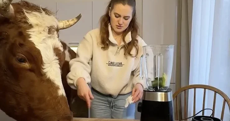 Bu qız inəyi evində saxlayır