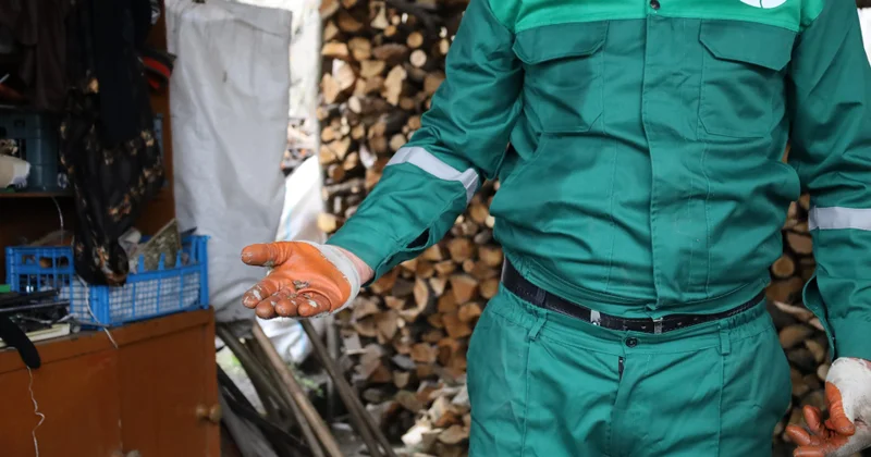 Bölgələrdə qəhvəyi mərmər bağacığına qarşı mübarizə tədbirləri davam etdirilir FOTOLAR