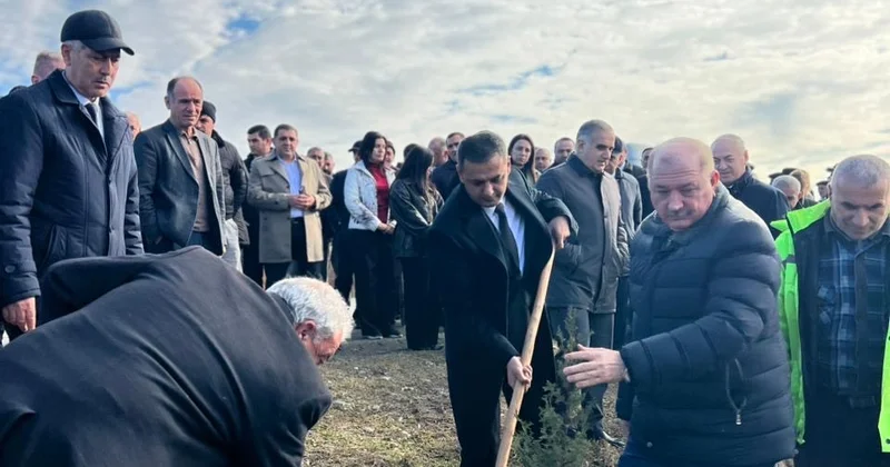 Beyləqanda ağacəkmə aksiyası keçirildi Fotolar